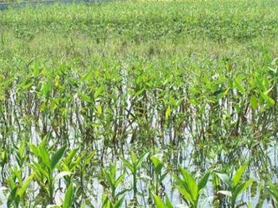 深圳水質(zhì)檢測(cè)機(jī)構(gòu) 深圳水質(zhì)檢測(cè)機(jī)構(gòu)