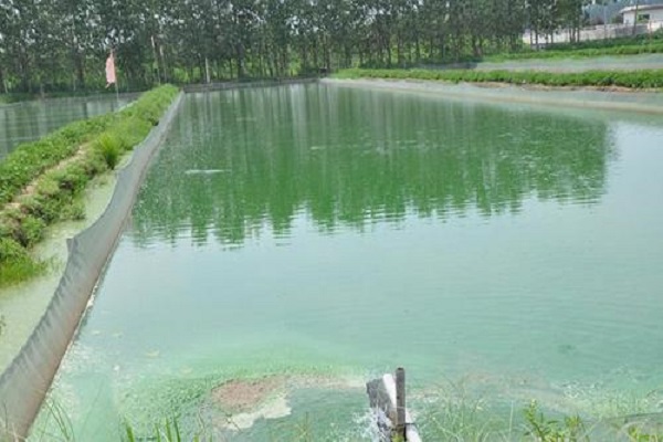 漁業(yè)養(yǎng)殖水檢測 漁業(yè)養(yǎng)殖水檢測